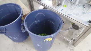 Cap Inspection