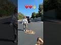 Lexi rivera #lexirivera #viral #shorts #richkids #funny