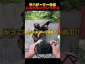 一番信じられないプレイたち