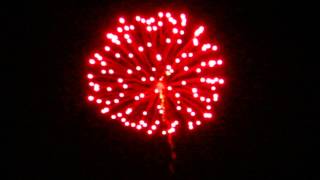 4 Inch Red Peony with Silver Flying Fish and Silver Tail BDS4022 Display Fireworks Shell