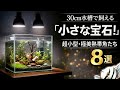 30cm水槽で飼える小さな宝石！超小型・極美熱帯魚 8選【淡水魚 アクアリウム】