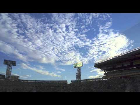 甲子園球場_2012