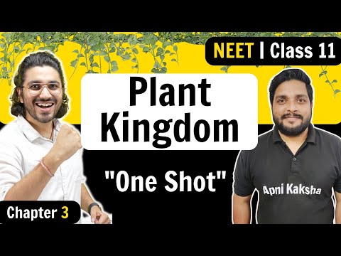Plant Kingdom | Complete Chapter ONE SHOT| NEET 2023 | Chapter 3