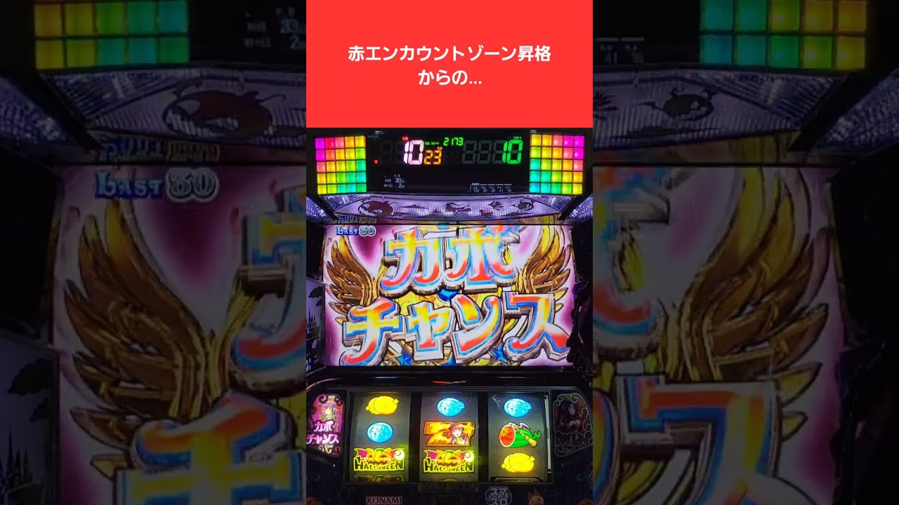 【マジハロ8】青エンカウントゾーンから究極悪王カボチャンスに入るまでの動画