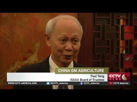China maps out GMO crops industry development plan