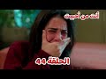 مسلسل أنت من أحببت الحلقة 44 دجلة تنقذ الشركة و تكتشف أنها السبب فى قـتل داريا 