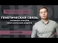 Химия | Генетическая связь основных классов неорганических веществ