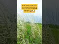 সবে বরাত শুরু হবে জানুয়ারি মাসের 24 তারিখে 📢📢 #viral #educational #short #trending
