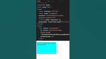 Controla el desbordamiento de las palabras largas con esta propiedad...