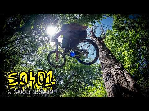 I Like Trees - 3dumb