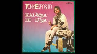 Toni Esposito - Kalimba De Luna (1984)