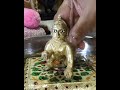 Shrinath ji janmastami mahautsav 🙏🙏  #janamastmi #nathdwara #shrinathji #vlog #shortvideo Mp3 Song