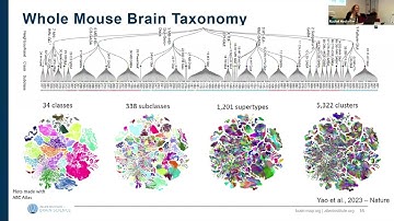 8th BigBrain Workshop 2024: Introduction to the Allen Institute Single Cell Ecosystem by R Hostetler