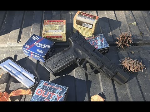 Springfield Armory XD(M) in 10mm - It's Here!| Gun Talk