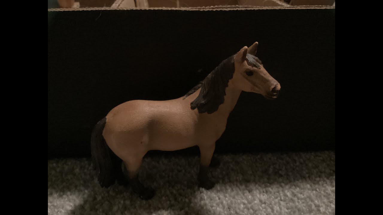 Meet my Schleich horses