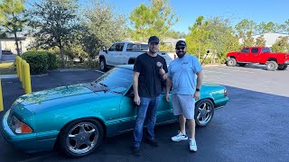 New Owner Alert! Calypso Fox Gets Picked Up!