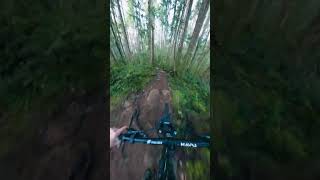 World Class Singletrack! 🔥