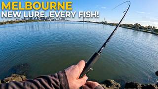 Different Lure After Every Fish Catch in Australia's Melbourne City