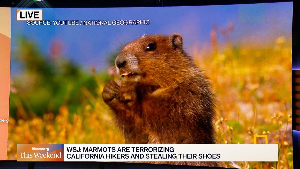 BTW: Headlines You Should See