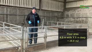 Sheep Housing  Space Requirements