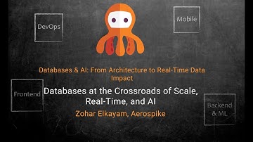 Databases at the Crossroads of Scale and AI Zohar Elkayam, Solutions Architect, Aerospike  (Hebrew)