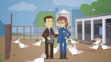 AXIS Camera Station Integrator Suite An overview - teamsafety