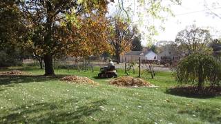 My Leaf Sled in Action Today!