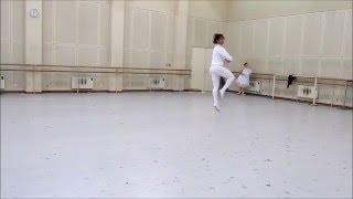 Nutcracker male variation 2016