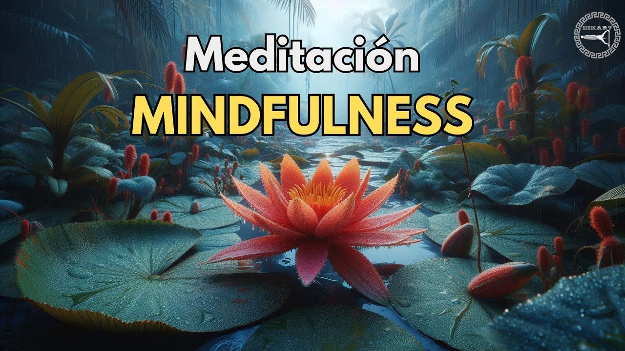 10 Minutos de MINDFULNESS Meditación guiada para la atención PLENA ...