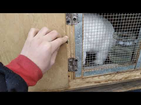 ფერმას სჭირდება დიდი ყურადღებაა...