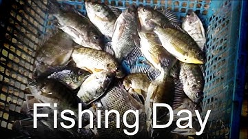 Boy catches the most fish in record time