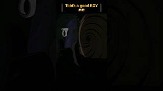 Tobi Is A Good Boy