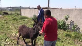 26 05 Karacabey Pako Ziyaret