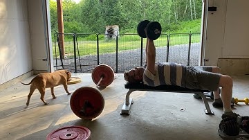 Day 23: Can a lazy 48 year old get back in shape? #benchpress