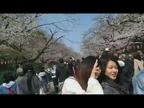 UENO PARK TOKYO