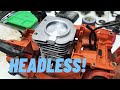 Chopping the Top! Headless Echo....Part 2