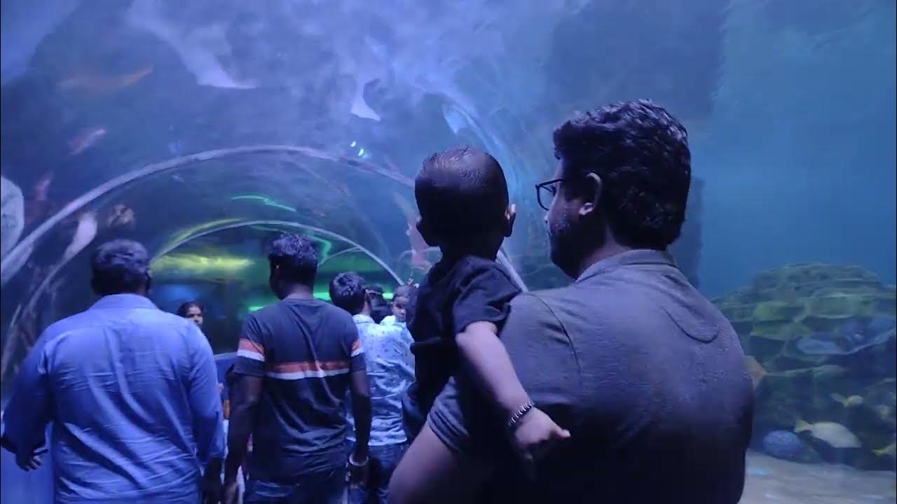VGP Aquarium Chennai YouTube