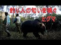 釣り人の?匂いを嗅ぐヒグマ