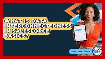 What Is Data Interconnectedness In Salesforce Basics? - Sales Pro Blueprint