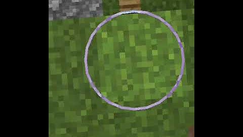 Breaking shield in 5 seconds #Minecraft #shorts