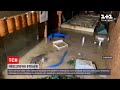 Новини України: у Ялті повністю затопило крокодиляріум, кілька рептилій могли втекти