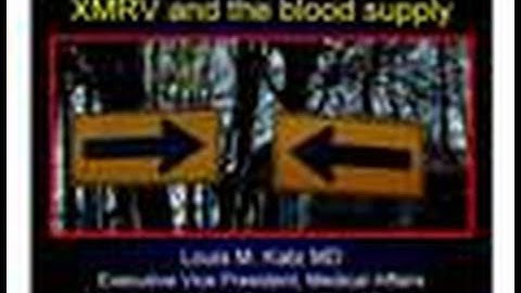 XMRV & Blood Safety