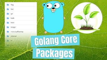 Golang fmt Package Scan Functions - Core Golang Packages