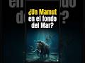 ​¡El Museo Prohibido bajo el Mar del Norte! 🌊🐘#viral #shorts #curiosidades #doggerland