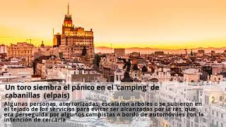 Un toro siembra el panico en el camping de cabanillas (elpais)