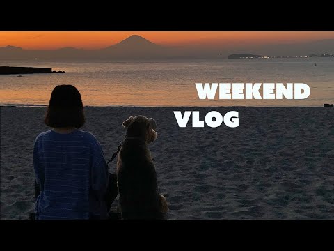 【vlog】犬と過ごすただの休日📚|葉山