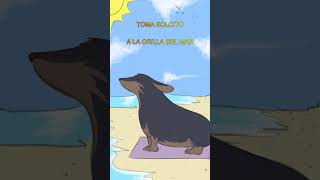 PERRO SALCHICHA GORDO BACHICHA✨💖🌭