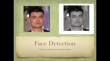 UFL EEL6825 Pattern Recognition Project Report