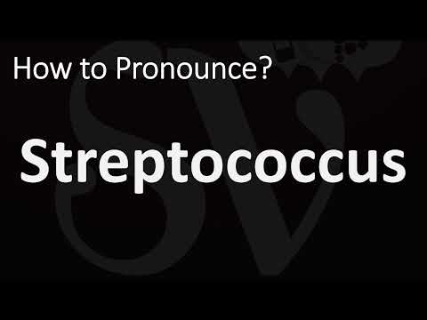 How to Pronounce Streptococcus? (CORRECTLY)