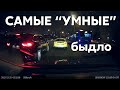 Подборка САМЫХ &quot;УМНЫХ&quot; водителей #767